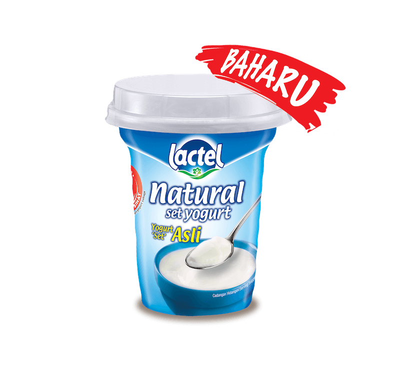 Lactel Yogurt 'Set' Asli Lactel